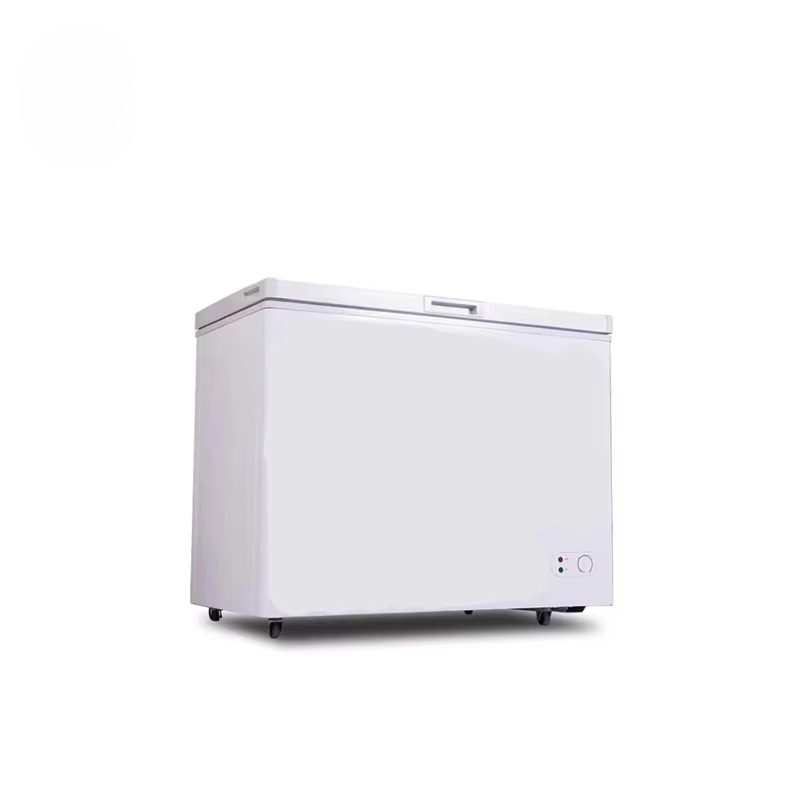 Commercial Chest Freezer - 100 〜 300 リットル小容量商業横型冷凍庫急速冷凍チェストフリーザー冷蔵庫