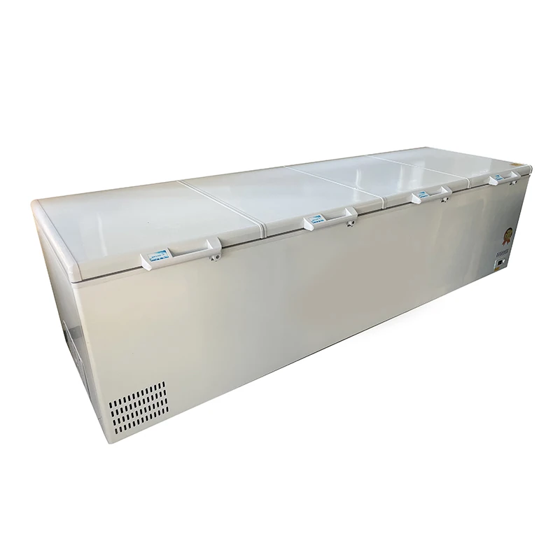 # 工場直販特価 1300リットル 業務用ソリッドドア式大型 - Commercial Chest Freezer のレビューと価格