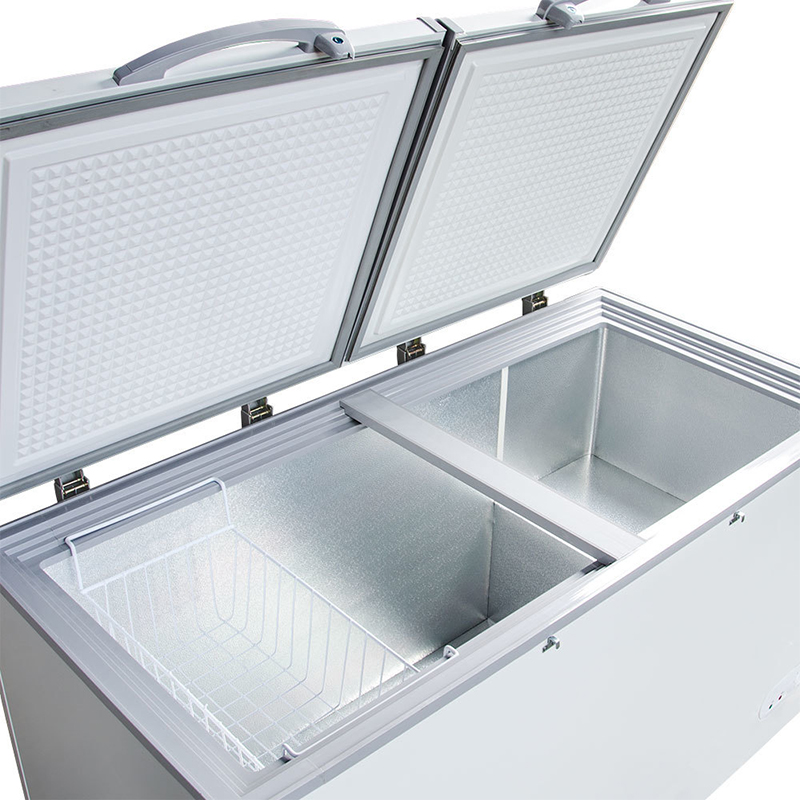 大容量チェストフリーザー単温度ディープチラー100リットル業 - Commercial Chest Freezer のレビューと価格