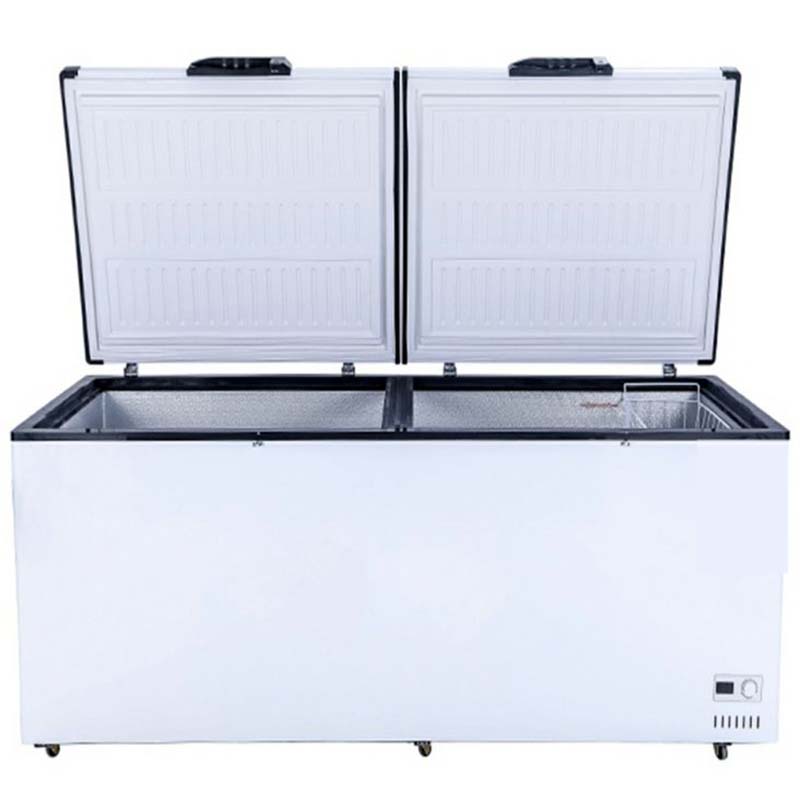 大容量チェストフリーザー単温度ディープチラー100リットル業 - Commercial Chest Freezer のレビューと価格